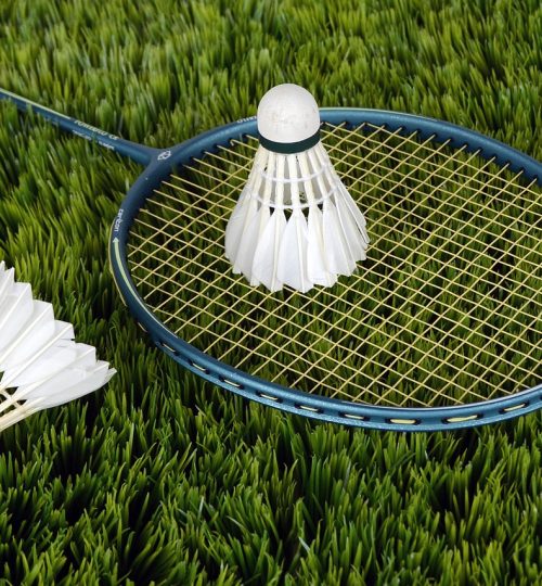 badminton, sport, shuttlecocks, racket, badminton racket, game, play, leisure, recreational sports, badminton, badminton, badminton, badminton, badminton