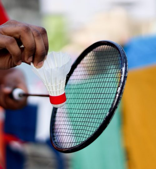 badminton, racket, shuttlecock, sport, badminton racket, feathers, activity, birdie, competition, equipment, game, badminton game, play, badminton, badminton, badminton, badminton, badminton