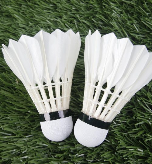 badminton, sports, shuttlecock, badminton, badminton, badminton, badminton, badminton, shuttlecock