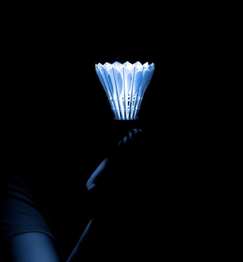 badminton, shuttlecock, birdie, sport, competition, leisure, hobby, play, movement, badminton, badminton, badminton, badminton, badminton